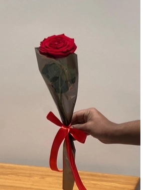 Single red roses "distributions"