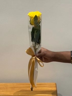 Single yellow roses "distributions"