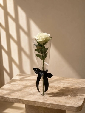 Single white roses "distributions"