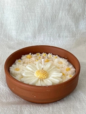 الكثير من الأزهار