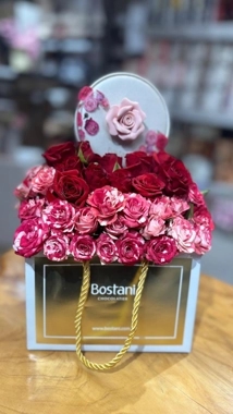 Softness coordination with Bostani chocolate