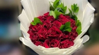 Elegance Package