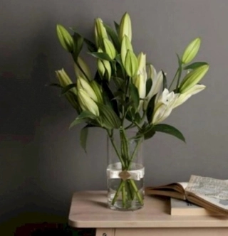 Casa Vase.