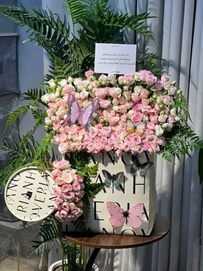 Henoverian Coordination 1