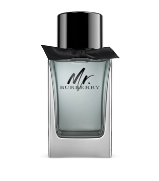Burberry Mr. Burberry EDT 100ml
