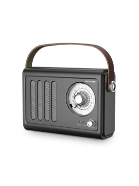 GREEN Lion Vintage Classic Design Radio and Speaker - Grey