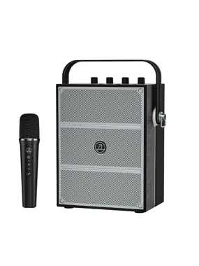 SAINTLARK S80 Portable Speaker with 2 Microphones - Black