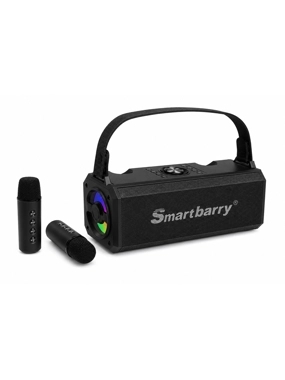 Smartbarry M28 Portable Speaker with 2 Wireless Microphones - Black
