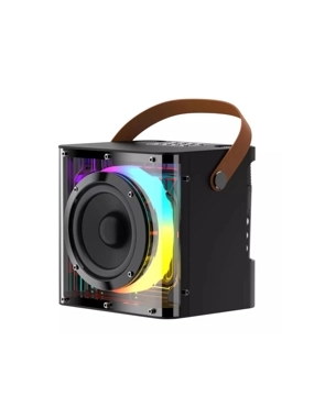 HAVIT SK822BT Speaker with Hanging Mount, 2 Wireless Microphones, and Interactive Lighting - Black