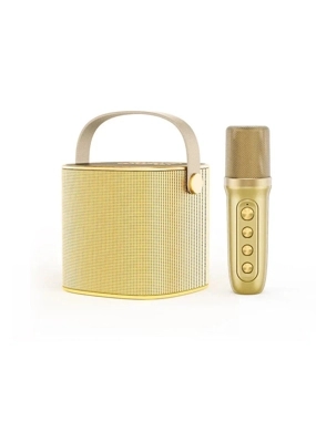 Smartbarry YS-101 Portable Speaker with Hanger and Wireless Microphone